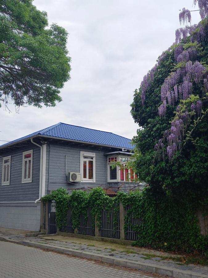 Casa De Vacanta Rodica Sulina Eksteriør billede