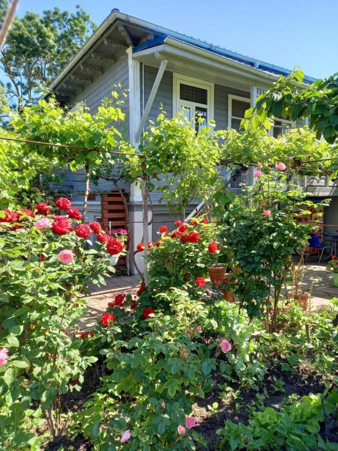 Casa De Vacanta Rodica Sulina Eksteriør billede