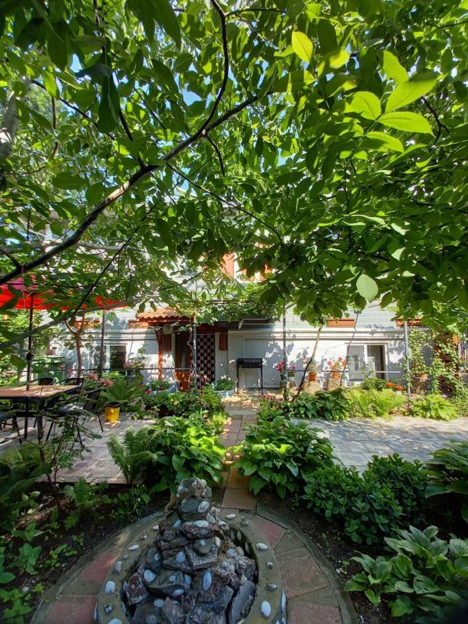 Casa De Vacanta Rodica Sulina Eksteriør billede