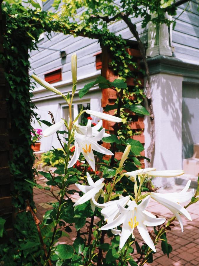 Casa De Vacanta Rodica Sulina Eksteriør billede